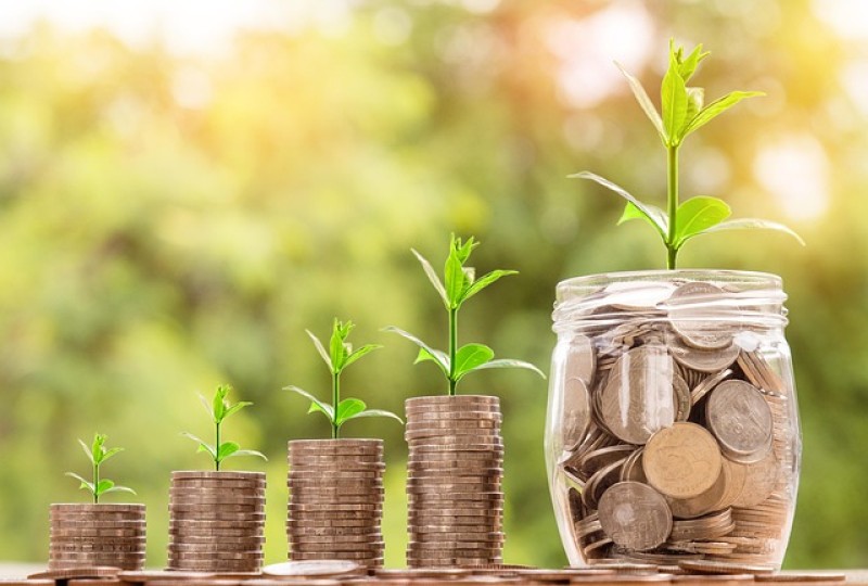 Investments & Loans