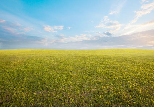 Open Land