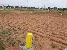 Fertile Agricultural Land for Sale – Ideal for Farming &amp; Investment